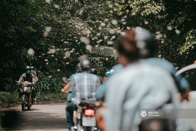 Video rừng Cúc Phương vào mùa bướm: Đẹp như một giấc mơ